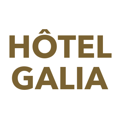 Logo Hôtel Galia 3*